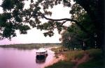  Neth  Gomel1991.JPG