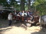 Horse Carriage.JPG
