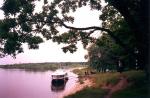  Neth  Gomel1991.JPG