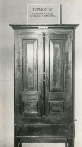Maximov-Kulturschrank-St-Petersburg-closed