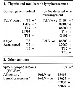 Viral Transduction Of Host Genes In Naturally Occurring Feline T Cell Leukaemias Transduction Of Myc And A T Cell Antigen Receptor Ss Chain Gene J C Neil 1 R Fulton1 T Tzavarasl 1 D Forrest 1 R Mcfarlane1 And D Onions 2 Hamatol Bluttransf